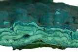 Teal Botryoidal Chrysocolla and Malachite - Chile #310142-1